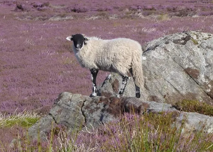 Holiday home Countersett Hall *