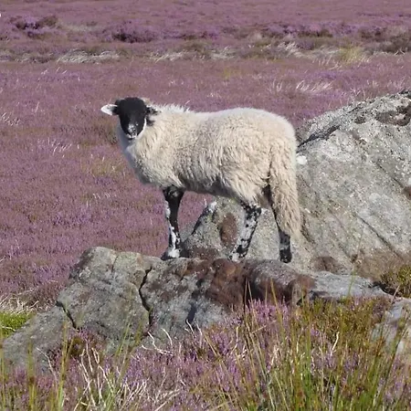 Dom wakacyjny Countersett Hall *